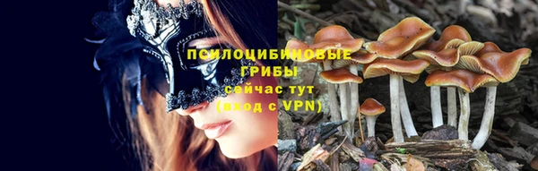 прущий лед Киренск