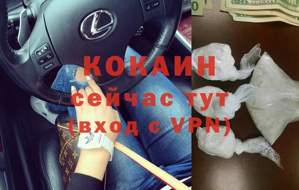 дмт Кинешма