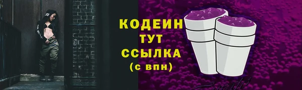 дмт Кинешма