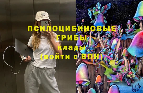 дмт Кинешма
