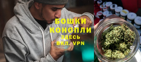 дмт Кинешма