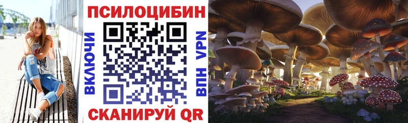 Псилоцибиновые грибы мухоморы  магазин продажи   Черкесск 
