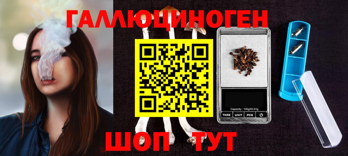 Черкесск  Галлюциногенные грибы Magic Shrooms  Вход с VPN  Псилоцибиновые грибы Magic Shrooms 