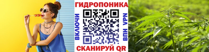 kraken ТОР  нарко площадка состав  Бошки марихуана сатива  Черкесск 